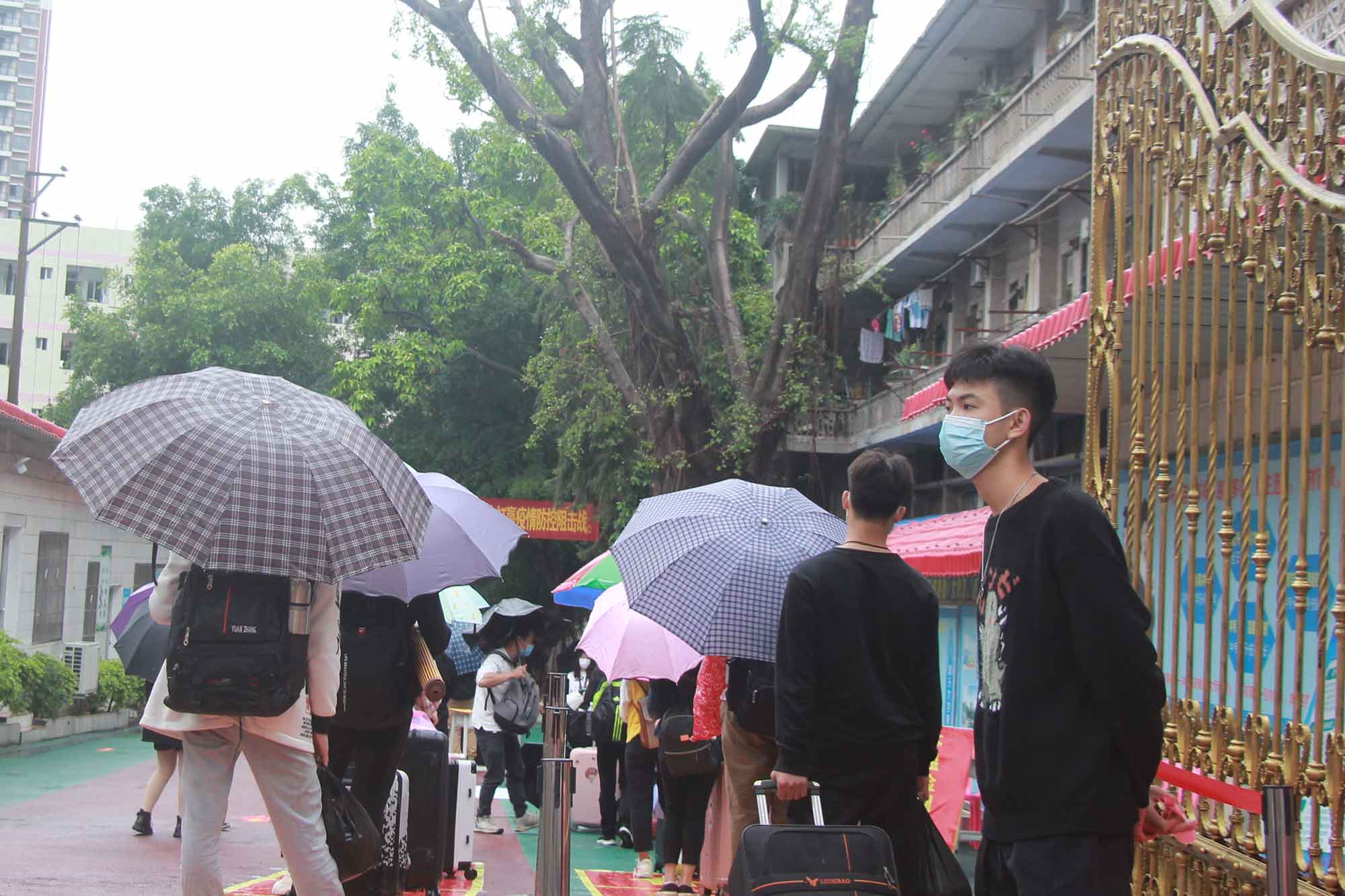 第一批學(xué)生返校記——春風(fēng)十里，不如校園有你！